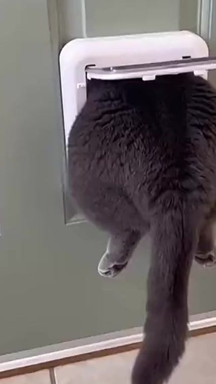 TikTok video thumbnail by glitterkuwait