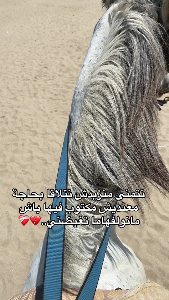 TikTok video thumbnail by al_man5
