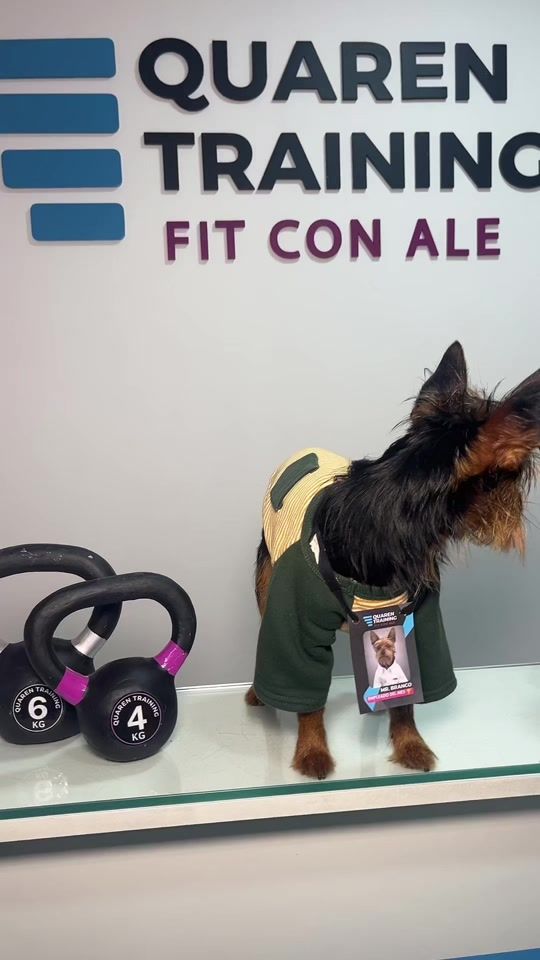 TikTok video thumbnail by quaren_training