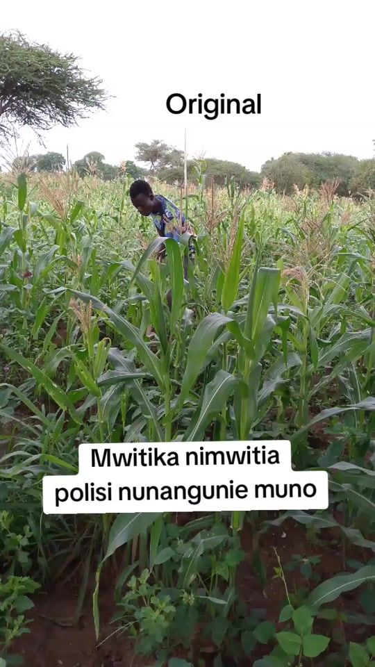 TikTok video thumbnail by 2245mutungi