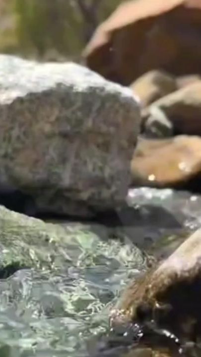 TikTok video thumbnail by amer_328
