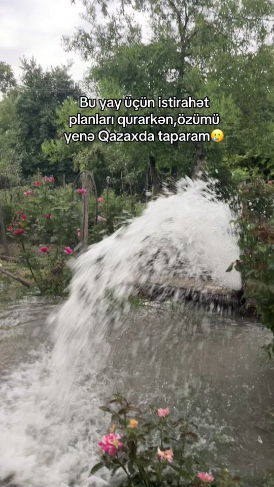 TikTok video thumbnail by nsbli_22