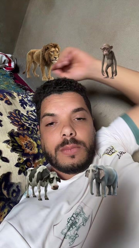 TikTok video thumbnail by ngk2347