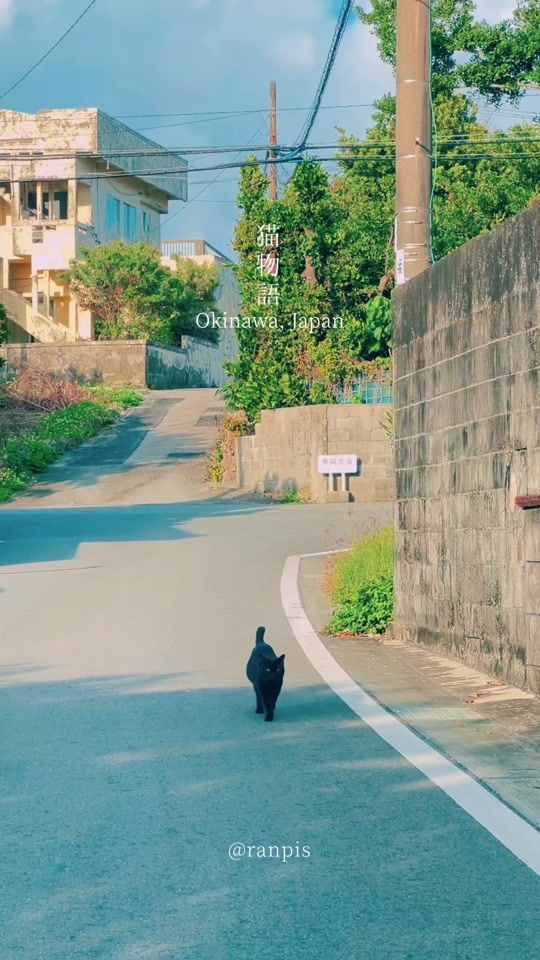 TikTok video thumbnail by _ranpis_