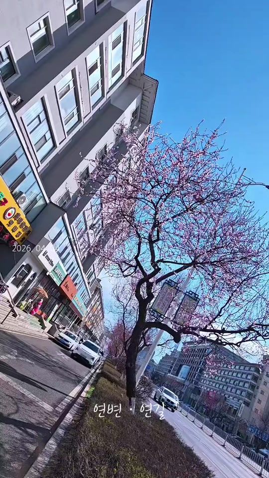 TikTok video thumbnail by jnwne4