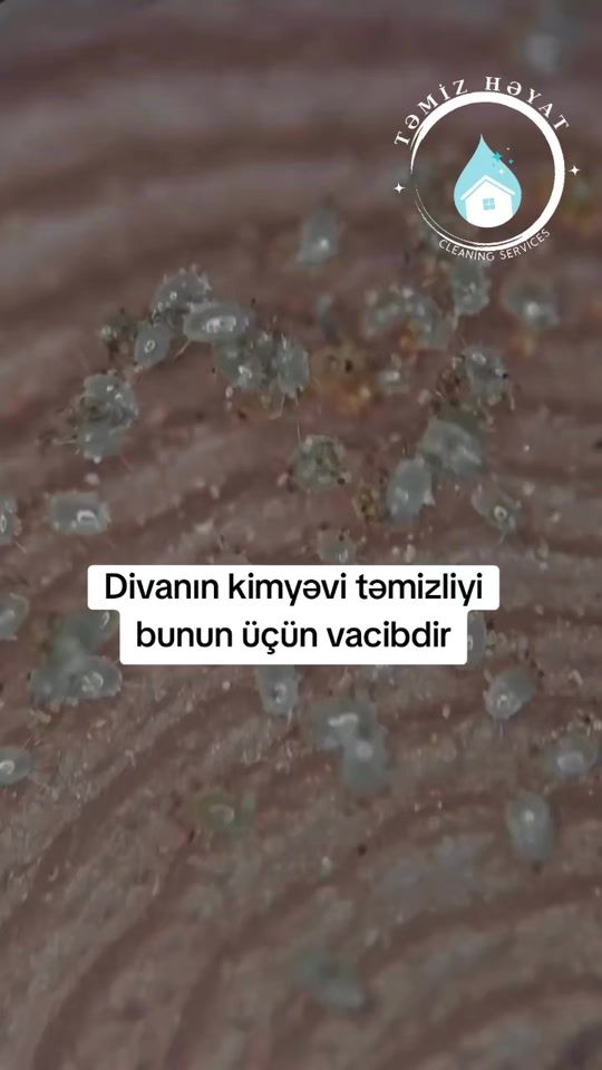 TikTok video thumbnail by temizheyat