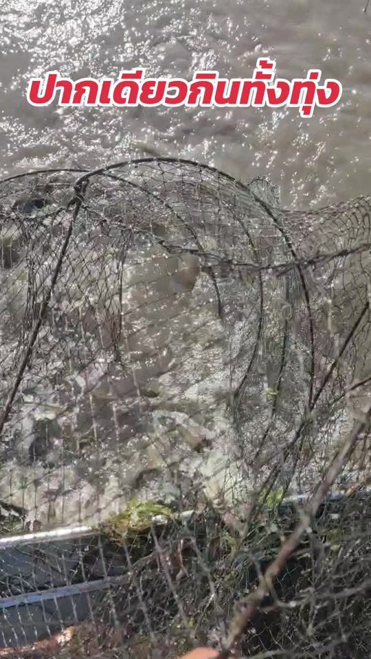 TikTok video thumbnail by moac_64