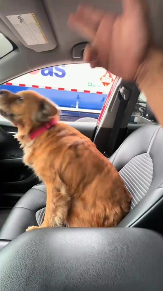 TikTok video thumbnail by anhlongvadongbon