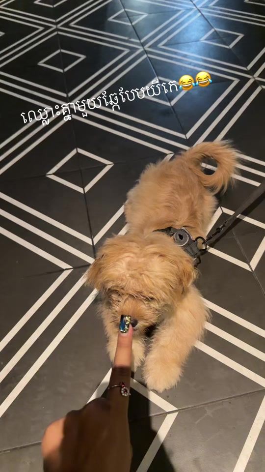 TikTok video thumbnail by sofiathevoice8899