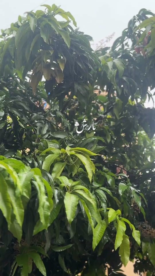 TikTok video thumbnail by hiru.blogs