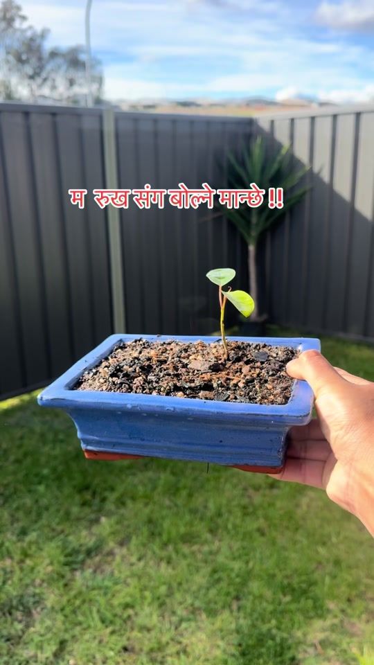 TikTok video thumbnail by ashok_8848