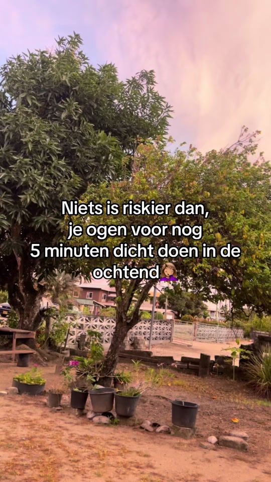 TikTok video thumbnail by alisha_alii_