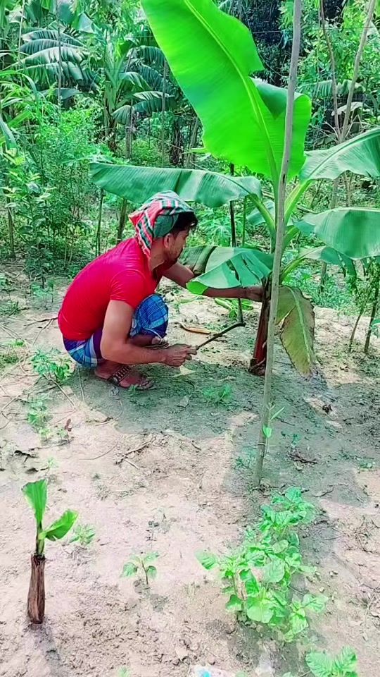 TikTok video thumbnail by md_masum72
