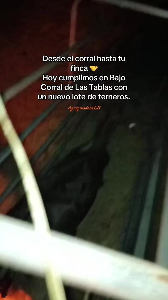 TikTok video thumbnail by agroganaderagb