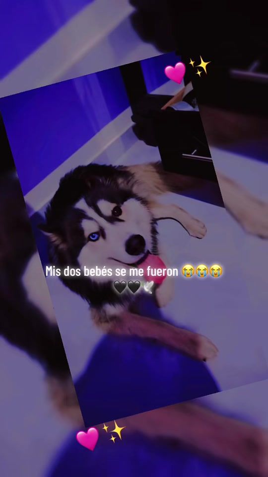 TikTok video thumbnail by lovecarmencitha3