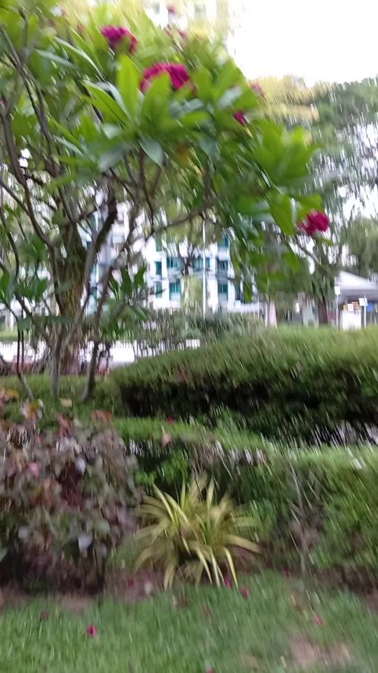 TikTok video thumbnail by umar15991