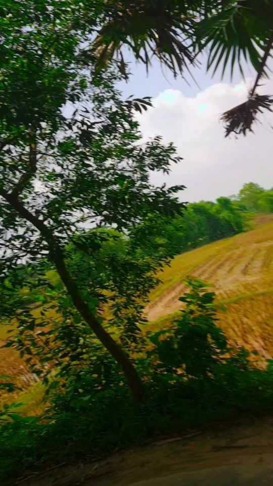 TikTok video thumbnail by user124206105