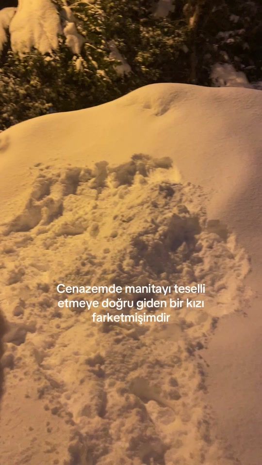 TikTok video thumbnail by gursoy.sudee