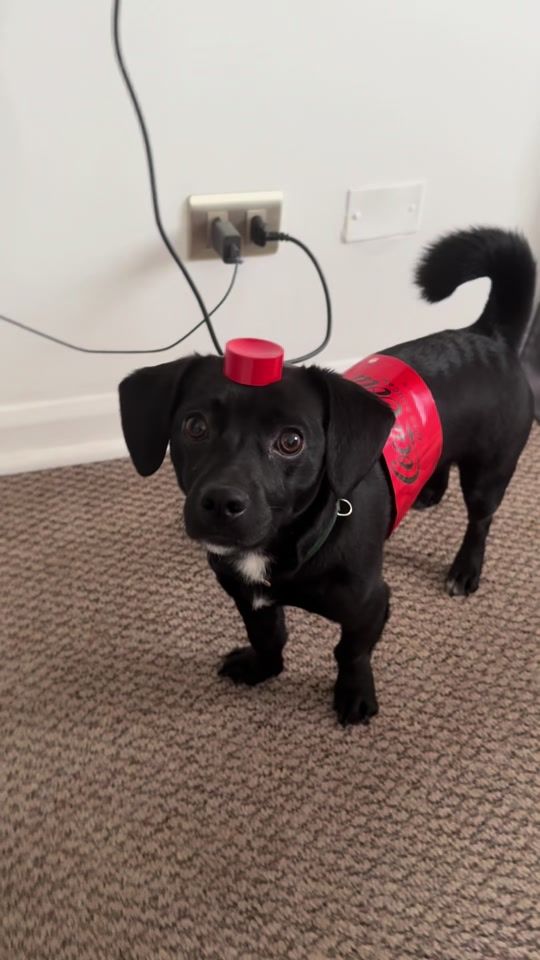 TikTok video thumbnail by itssverii