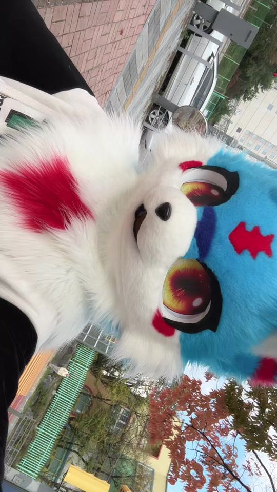 TikTok video thumbnail by reena_furry2