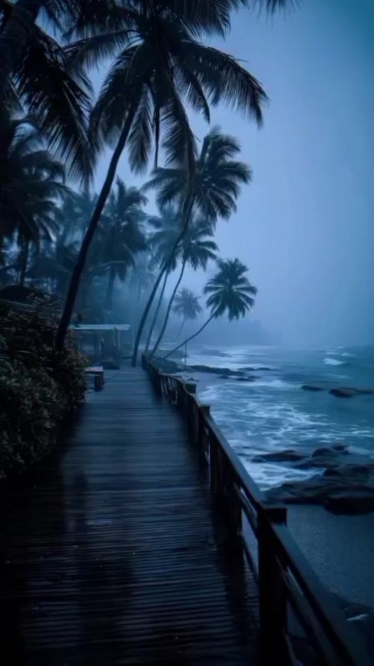 TikTok video thumbnail by noisemaker_mreggae