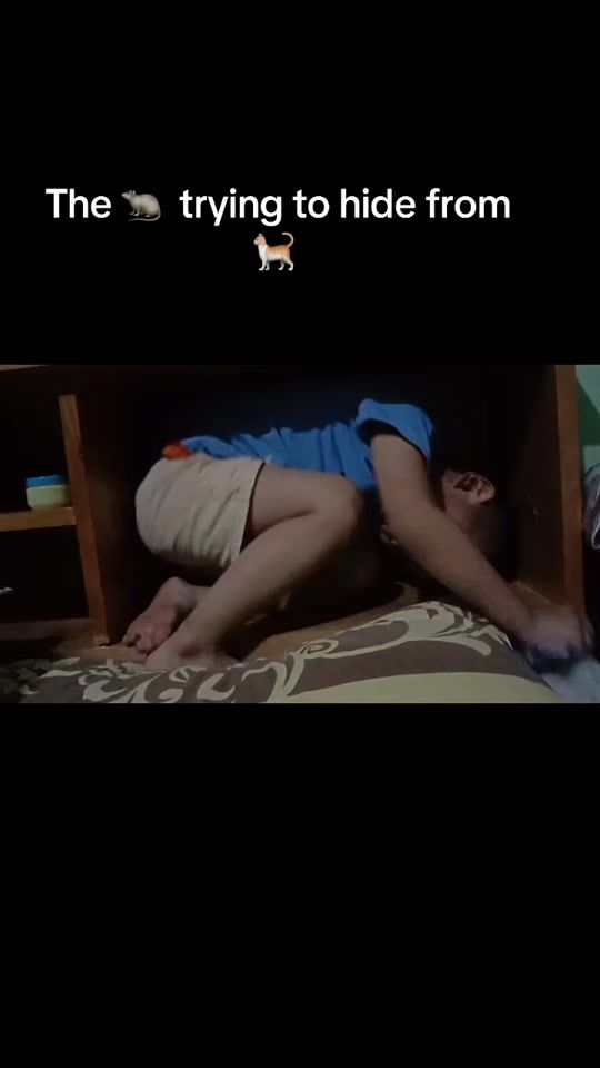 TikTok video thumbnail by thinleydorji068