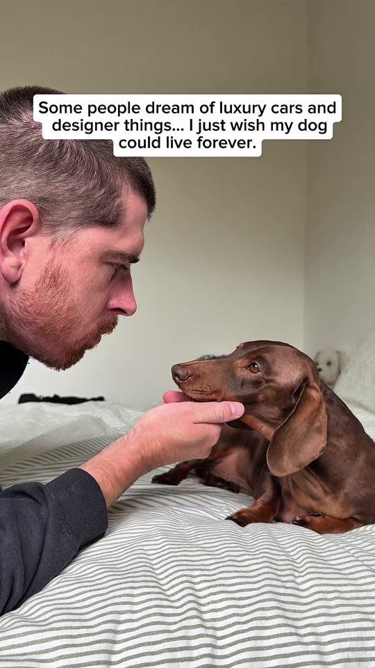 TikTok video thumbnail by darcyanddad