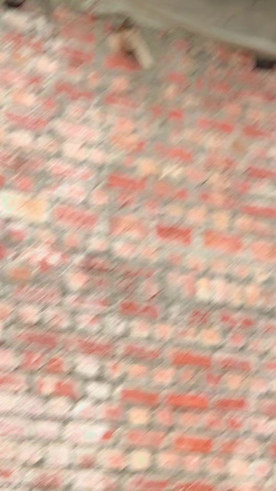 TikTok video thumbnail by exbrand786