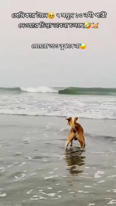TikTok video thumbnail by rubayed.hasan