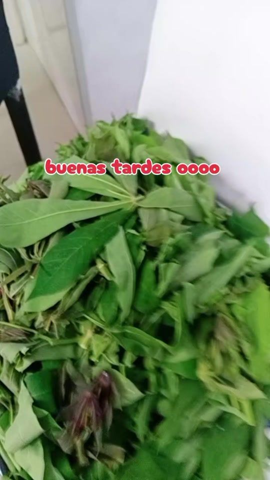 TikTok video thumbnail by cnen042
