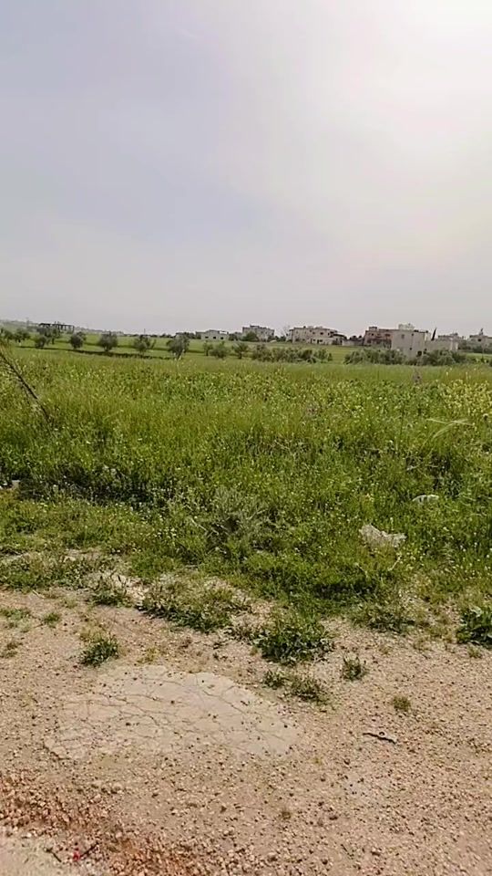 TikTok video thumbnail by alward825