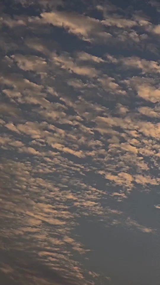 TikTok video thumbnail by m99.2024