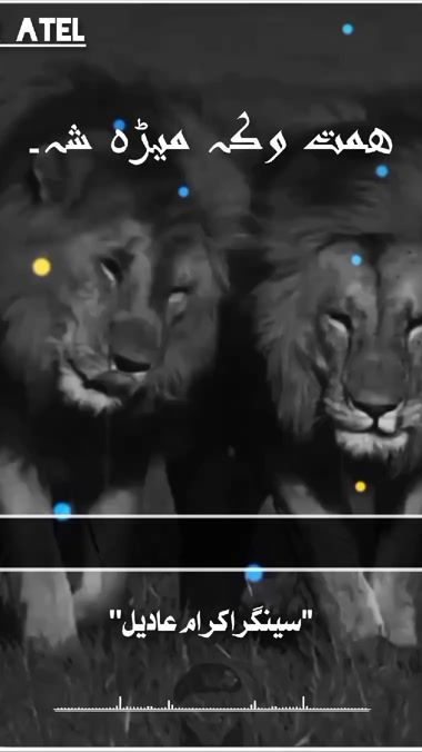TikTok video thumbnail by nasir_.atel