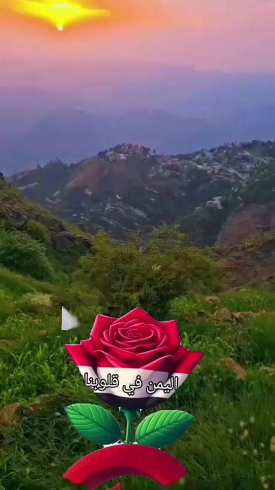 TikTok video thumbnail by user2006241851225