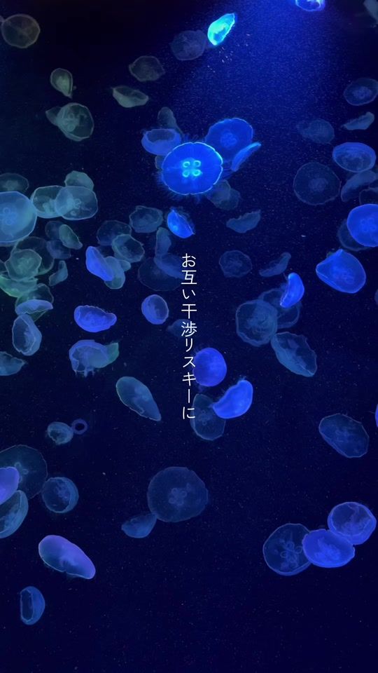 TikTok video thumbnail by hakanekura_pj