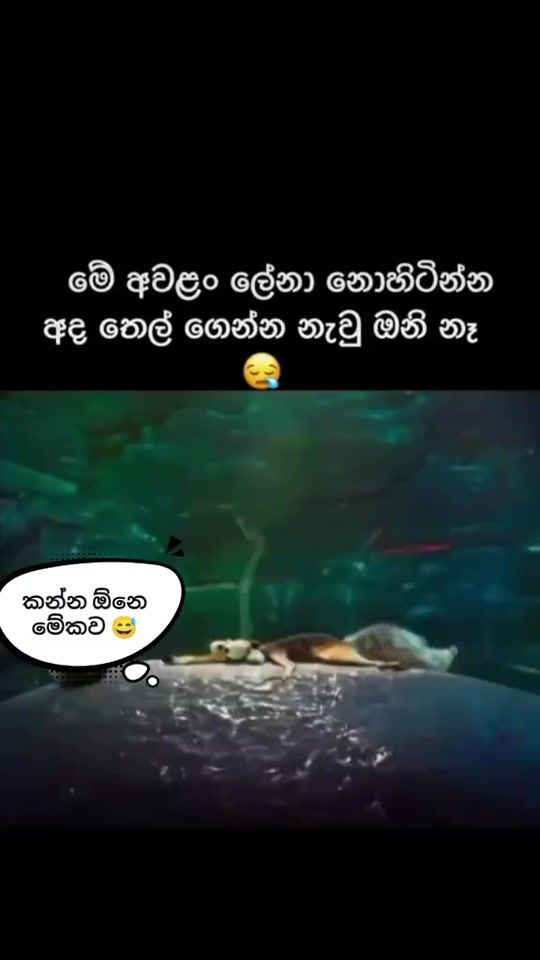 TikTok video thumbnail by chanchala1989