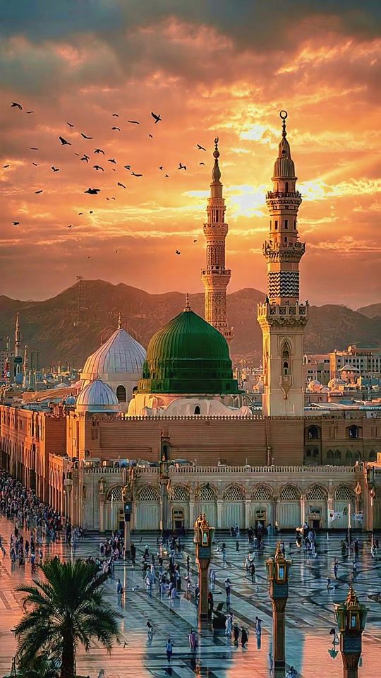TikTok video thumbnail by quran_karem_hamadaegypto