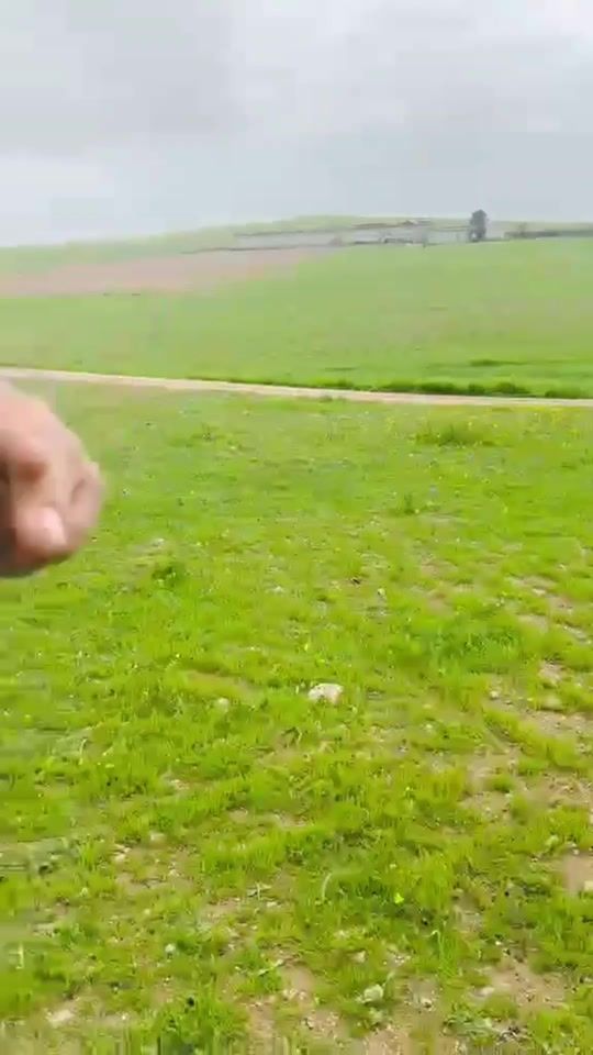 TikTok video thumbnail by m__1987_