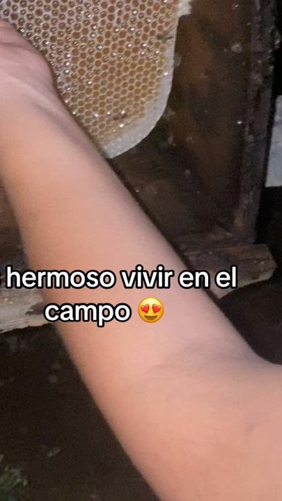 TikTok video thumbnail by aleman0213