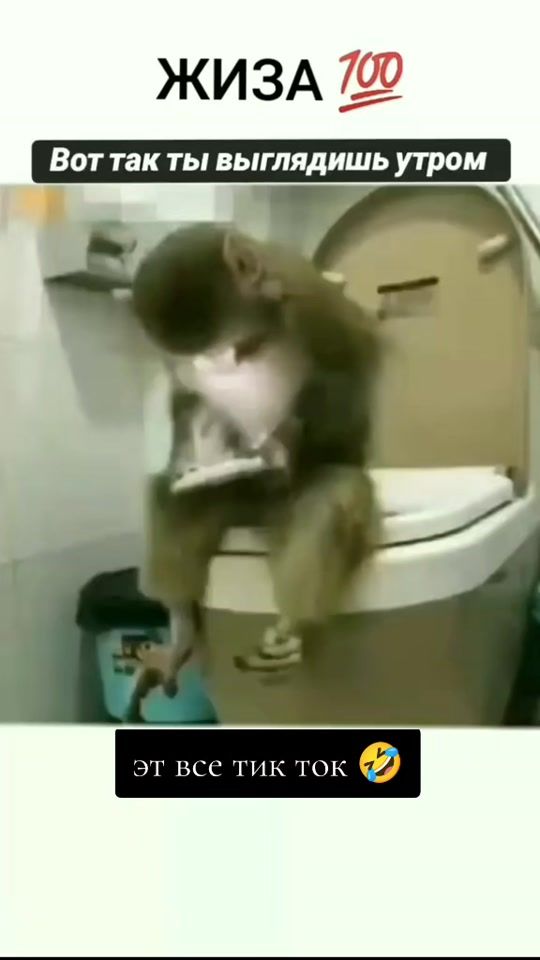 TikTok video thumbnail by olgabon4