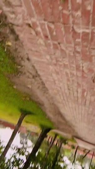 TikTok video thumbnail by botla_lajuk_