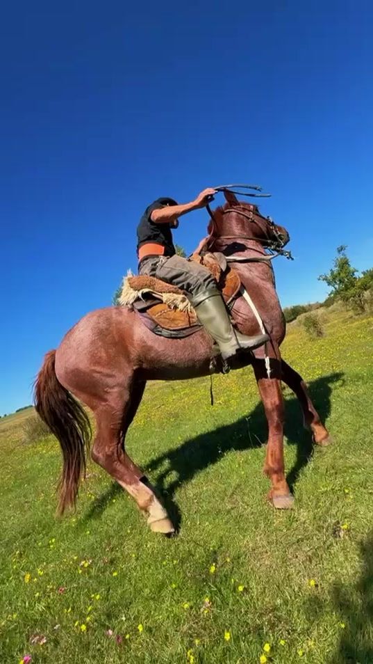 TikTok video thumbnail by angel.garcia8577