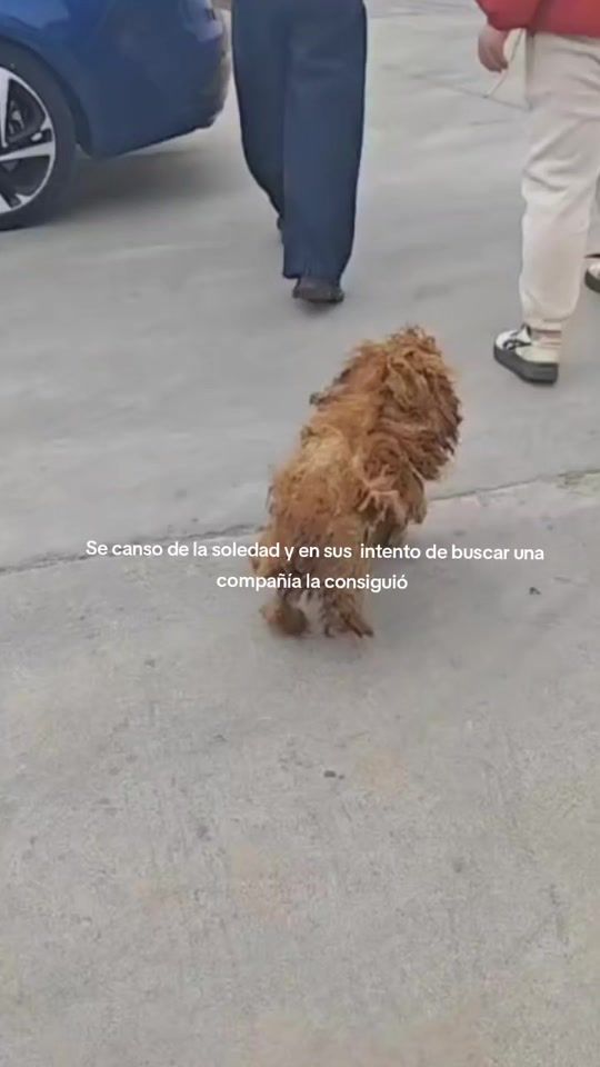 TikTok video thumbnail by es_paratii