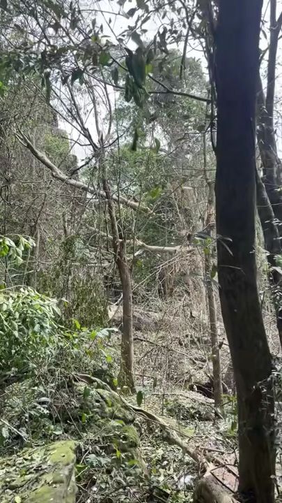 TikTok video thumbnail by narinn_7745