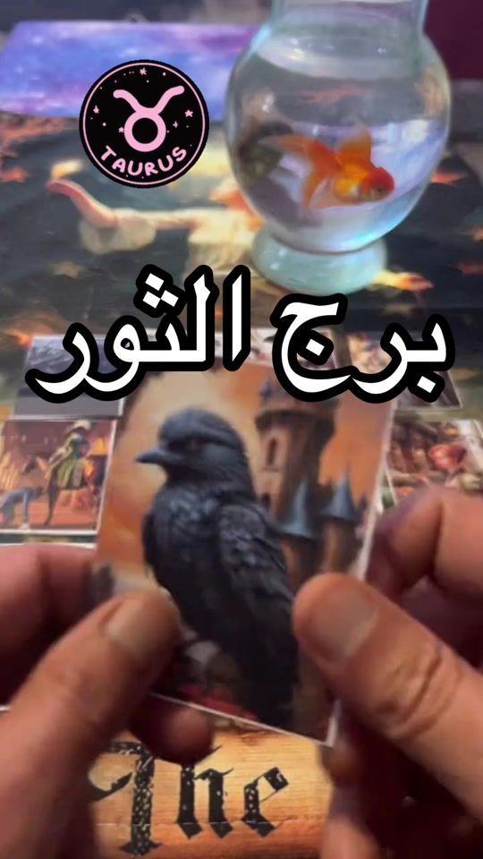 TikTok video thumbnail by oollxxlloo