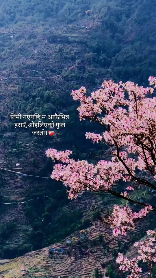 TikTok video thumbnail by mr_jungey119