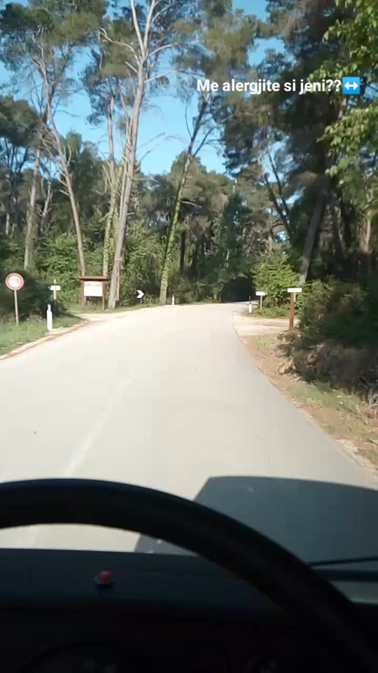 TikTok video thumbnail by mariglensollaku