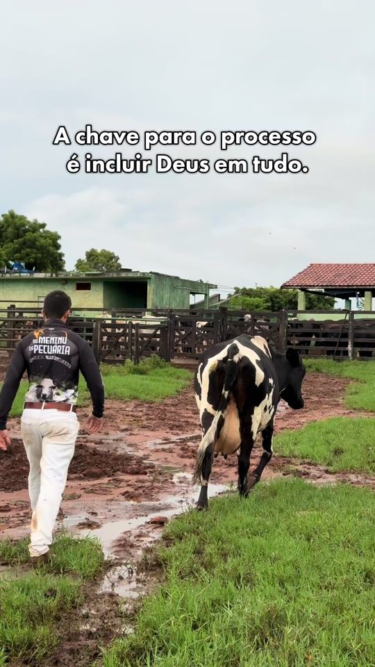 TikTok video thumbnail by gabriel_agroribeiro