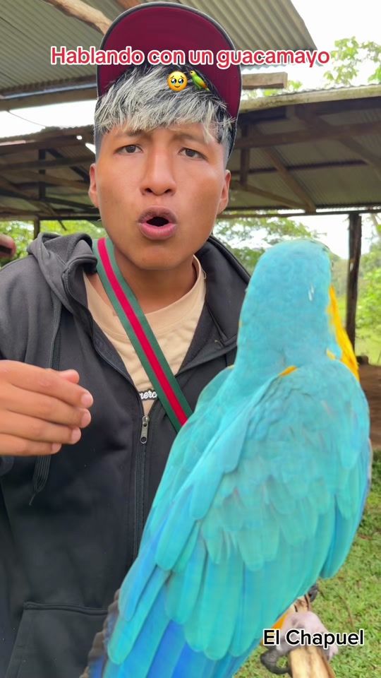 TikTok video thumbnail by elchapuel