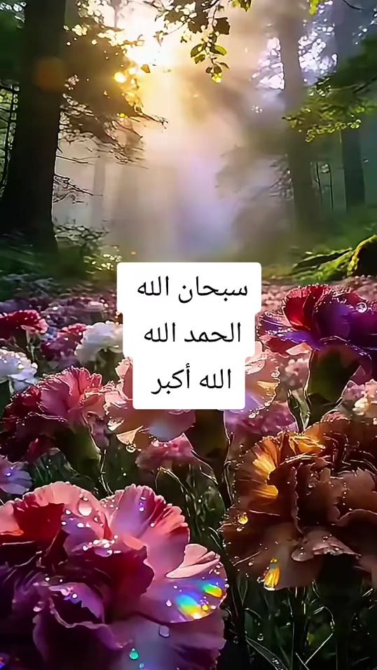 TikTok video thumbnail by moh..dz.1